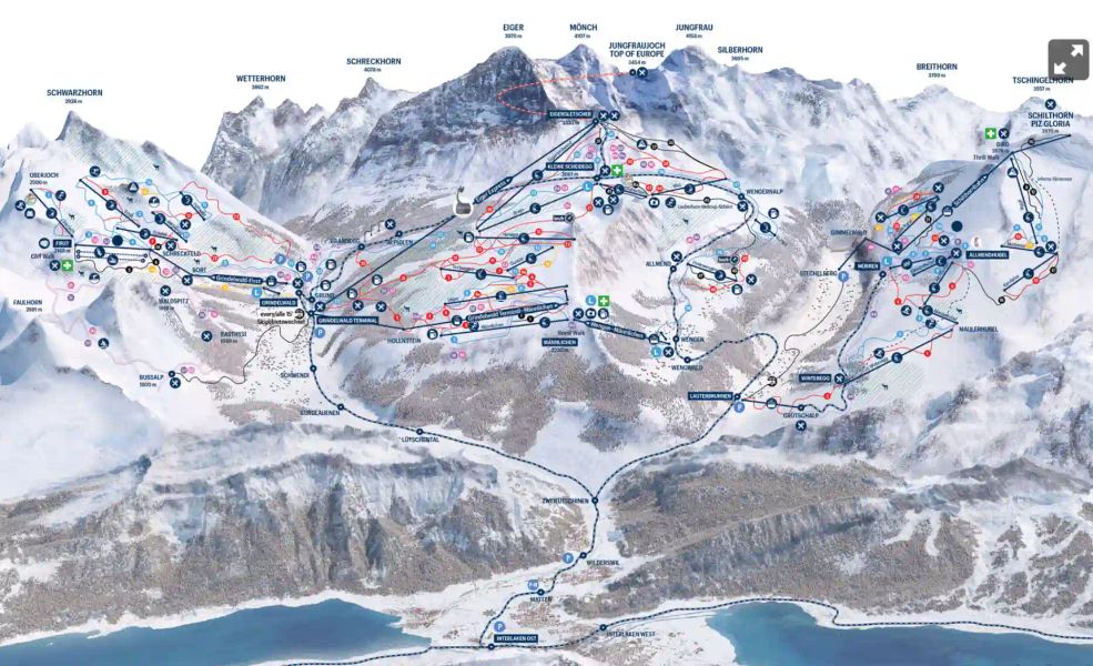 Book IFMGA mountain guides in Grindelwald - Guidezone